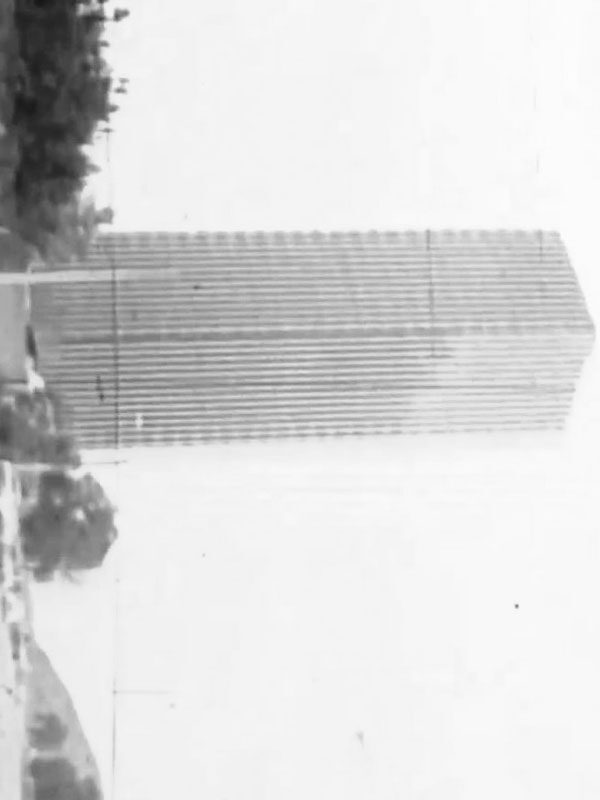 1980
